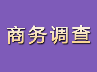 从江商务调查