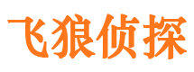 从江侦探公司